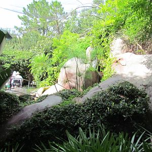 End of River Valley Aviary