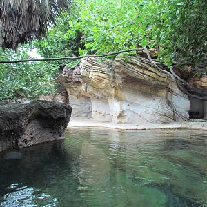 Mixed Species Exhibit