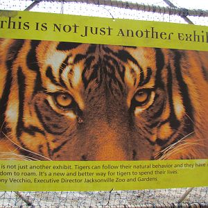 Monsoon Asia - Not Just Any Tiger Exhibit