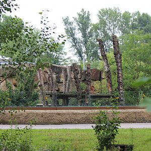 Pargue Zoo Tiger Enclosure - July 2013