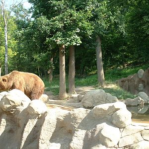Kamchatka Bear Enclosure - Brno Zoo, July 2013