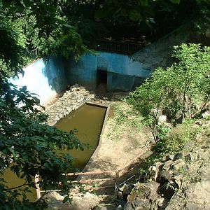 Polar Bear Enclosure - Brno Zoo, July 2013