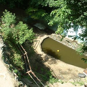 Polar Bear Enclosure - Brno Zoo, July 2013