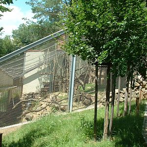 Ring-tailed Lemur Enclosure - Brno Zoo, July 2013