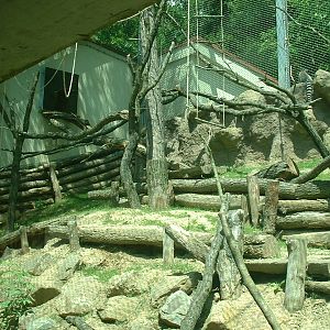 Ring-tailed Lemur Enclosure - Brno Zoo, July 2013
