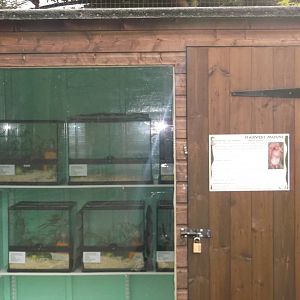 Harvest Mouse Breeding Area