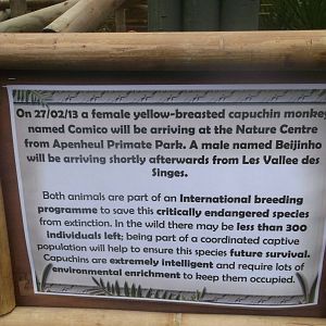 Capuchin Information Sign