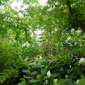 Butterfly Pavilion 27.6.13
