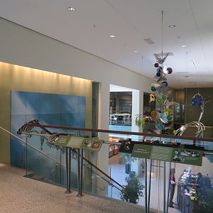 Entrance Building - Interior
