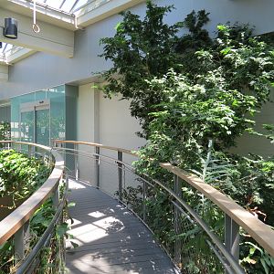 Butterfly House - Visitor Path