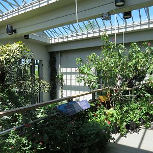 Butterfly House - Entry Landing