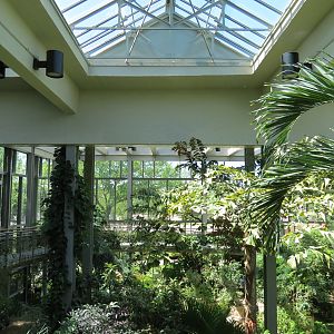 Butterfly House - Interior