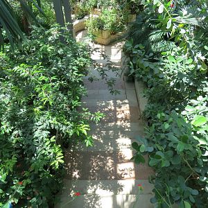 Butterfly House - View from Entry Landing