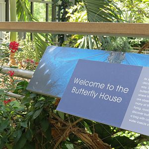 Butterfly House - Sign