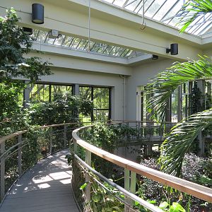 Butterfly House - Elevated Path