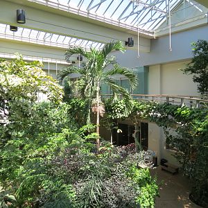 Butterfly House - Interior