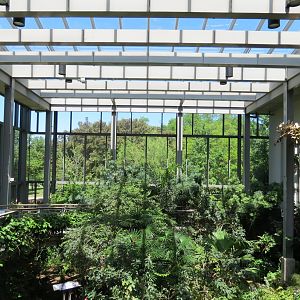 Butterfly House - Interior