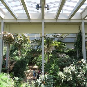 Butterfly House - Interior