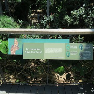 Butterfly House - Sign