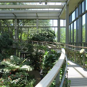 Butterfly House - Elevated Path