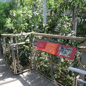 Butterfly House - Sign