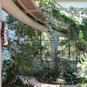 Butterfly House - Elevated Path