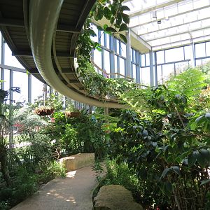Butterfly House - Path Below Elevated Path