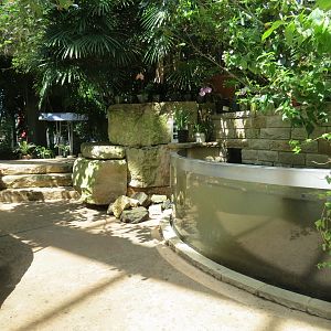 Butterfly House - Pond