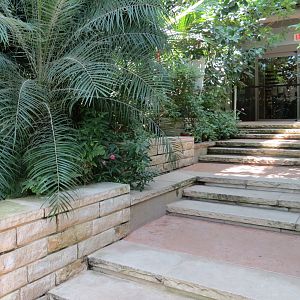 Butterfly House - Steps