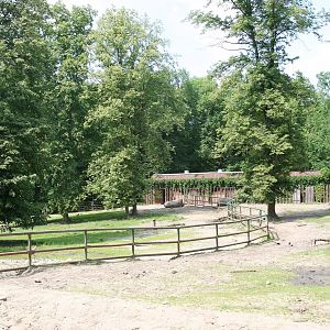 White Rhino enclosure
