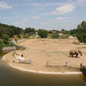Elephant outdoor enclosure