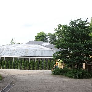 Pavilion for reptiles and amphibians