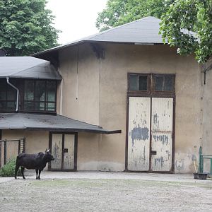 The old pavilion of giraffes