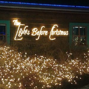 The Lights Before Christmas