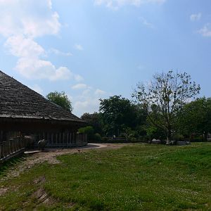 Rhino paddock at Chester Zoo, 06/07/13