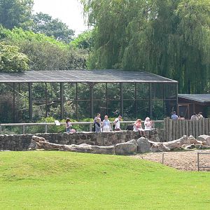 Howler exhibit at Chester Zoo, 06/07/13