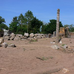 Elephant exhibit at Chester Zoo, 06/07/13