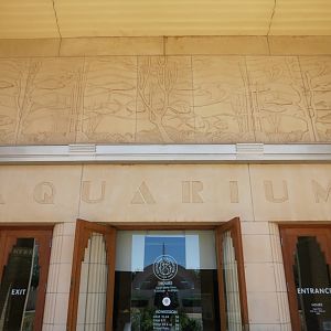 Aquarium Exterior Entrance