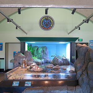 Intertidal Zone - 2 Touchtanks