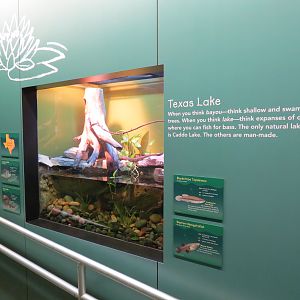Texas Lake Exhibit
