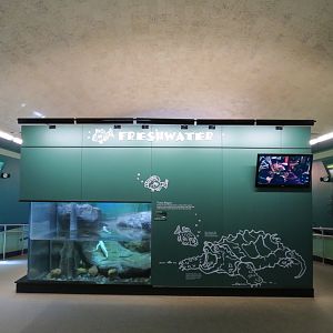 Freshwater Zone with Texas Bayou Exhibit