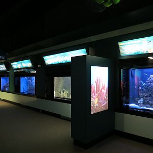 Nearshore and Offshore Zones