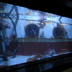 Venomous Fishes Exhibit