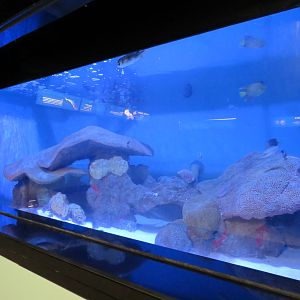 Flower Garden Banks Exhibit