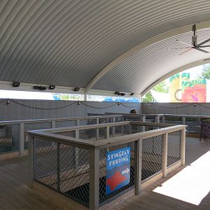 Stingray Bay - Viewing Area