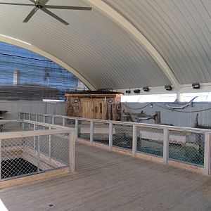 Stingray Bay - Viewing Area