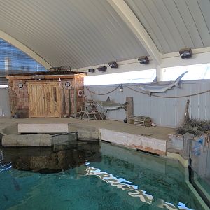 Stingray Bay - Shark Exhibit