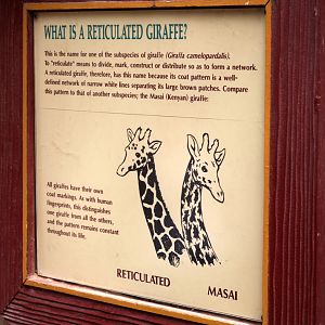 giraffe sign, July 6, 2013
