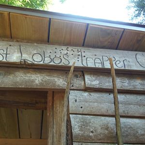 WOLF- Lost Lobos Trapper Cabin