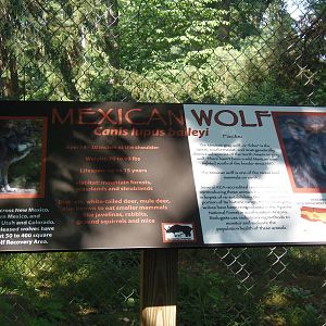 WOLF- New Mexican Wolf Signage